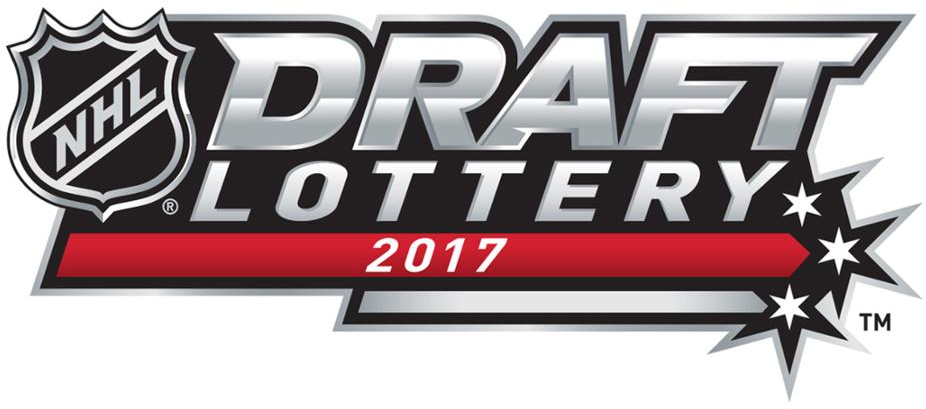 NHL Draft 2017 Misc Logo DIY iron on transfer (heat transfer)
